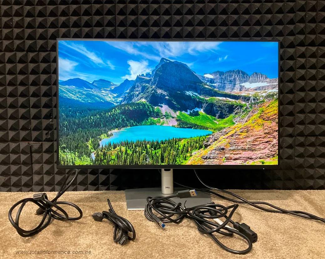 Monitor Dell P2725H 27” FHD IPS 100Hz con HDMI, DisplayPort y USB – Negro - imagen 5